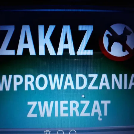 Ferienwohnung Glogow Przy Grodzkiej Exterior foto