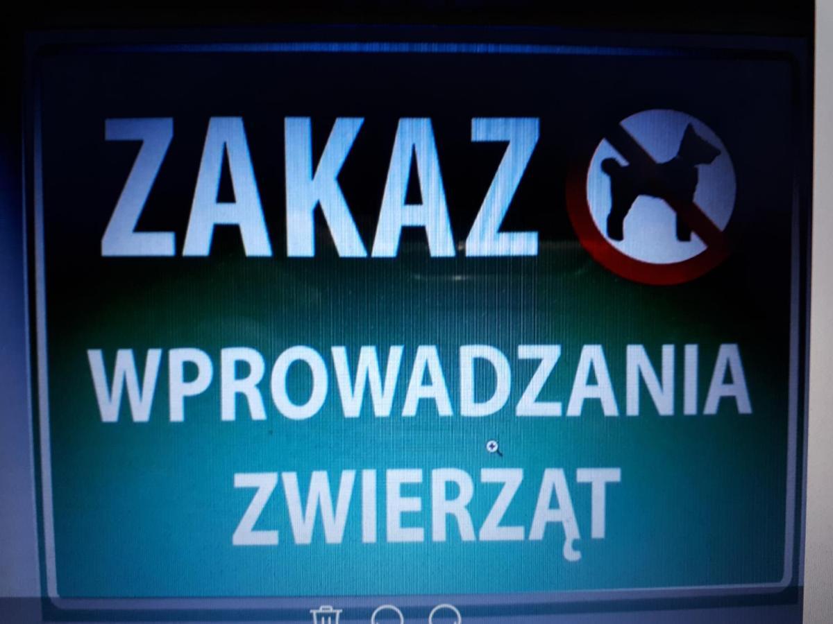 Przy Grodzkiej Glogau
